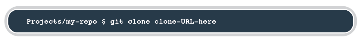 Projects/my-repo $ git clone clone-URL-here